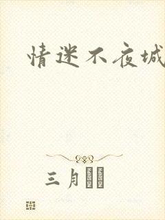 情迷不夜城
