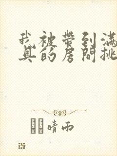 我被带到满是玩具的房间挑调作文