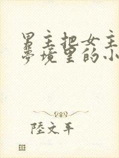 男主把女主拖进梦境里的小说