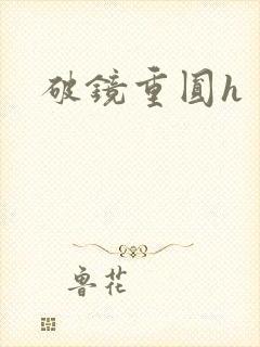 破镜重圆h