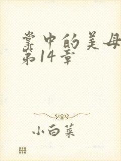 掌中的美母版主第14章