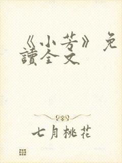 《小芳》免费阅读全文