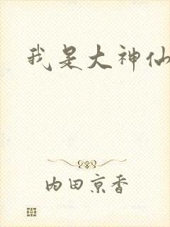 我是大神仙小说