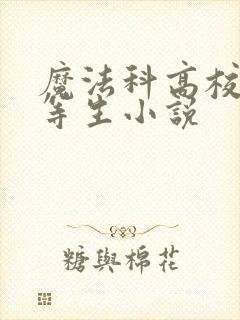 魔法科高校的劣等生小说