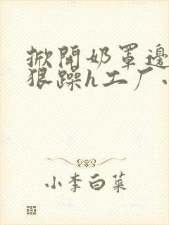 掀开奶罩边躁狠狠躁h工厂小说