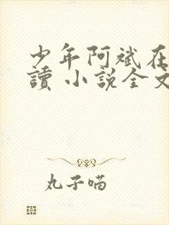 少年阿斌在线阅读 小说全文免费