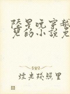 陆星晚穿越成婴儿的小说免费阅读全文