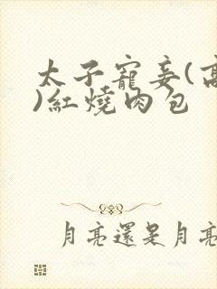 太子宠妾(高肉)红烧肉包