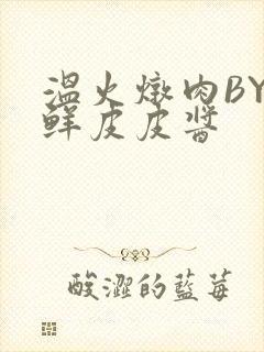 温火炖肉BY海鲜皮皮酱