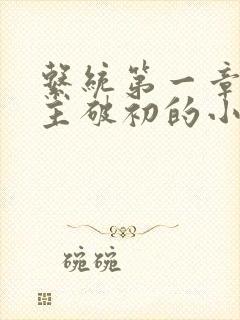 系统第一章给宿主破初的小说