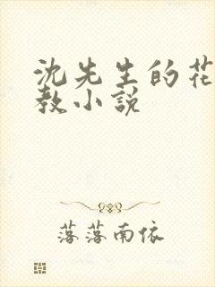 沈先生的花式调教小说