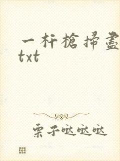 一杆枪扫尽全家txt