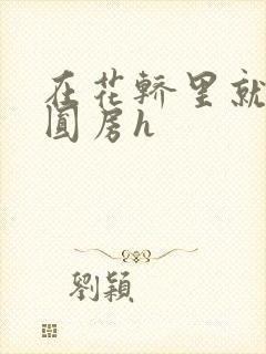 在花轿里就开始圆房h