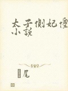 太子侧妃傻乎乎小说