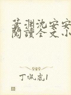 萧渊沈安安免费阅读全文小说