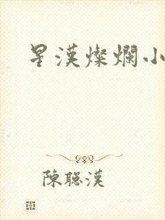 星汉灿烂小说
