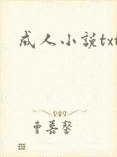 成人小说txt