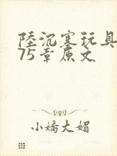 陆沉塞玩具高速75章原文