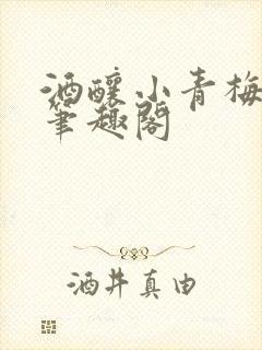 酒酿小青梅po笔趣阁