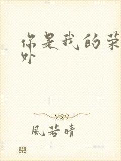 你是我的荣耀番外