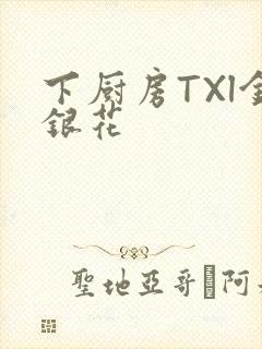 下厨房TXl金银花