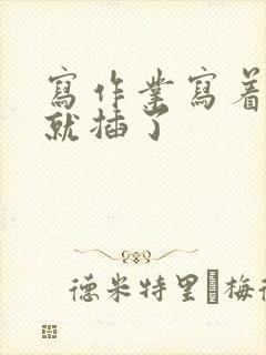 写作业写着写着就插了