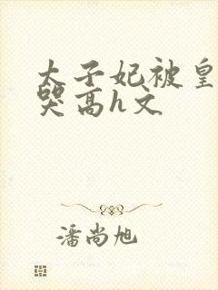 太子妃被皇上c哭高h文