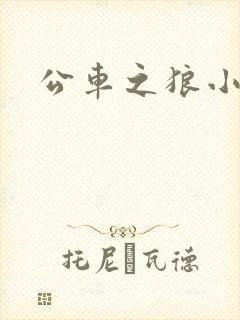公车之狼小说