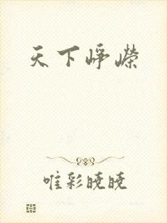 天下峥嵘
