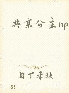 共享公主npc