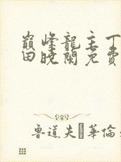 巅峰龙主丁长顺田晓兰免费阅读