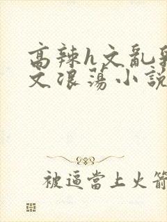 高辣h文乱乳h文浪荡小说苏柔