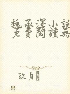 魏承泽小说全文免费阅读无弹窗笔趣