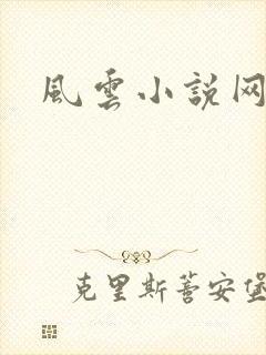 风云小说网