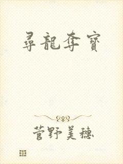 寻龙夺宝