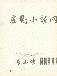 卢飞小说网