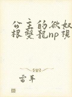 公主的欲奴h四根双龙np视频