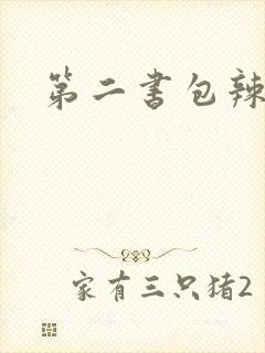 第二书包辣文