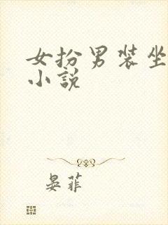 女扮男装坐江山小说