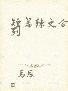 短篇辣文合集系列