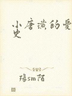 小唐璜的爱情历史