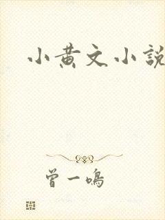 小黄文小说