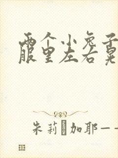 两个小兔子在衣服里左右晃