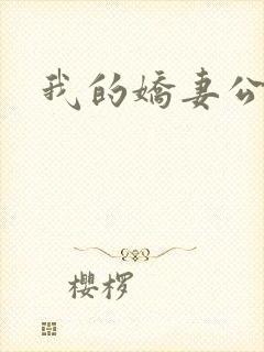 我的娇妻公务员