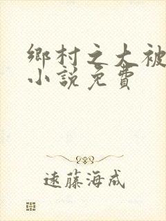 乡村之大被同眠小说免费