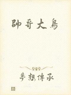 帅哥大鸟