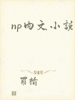 np肉文小说