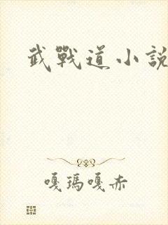武战道小说