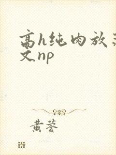 高h纯肉放荡h文np