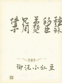 借兄弟的种生孩子周楚臣苏糖